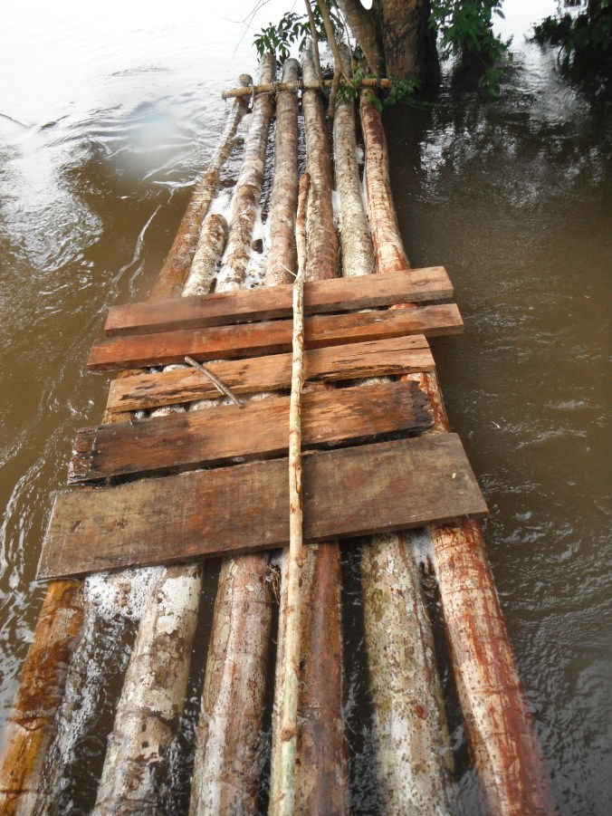 Raft on the river Jamanxim