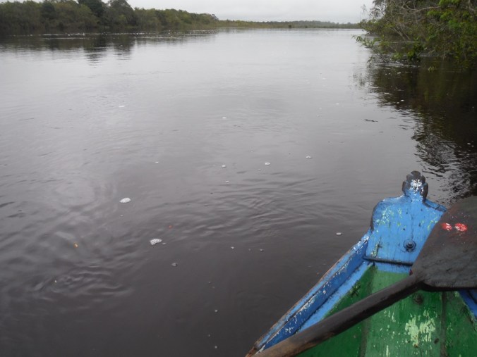 The Flooded Rio Araca